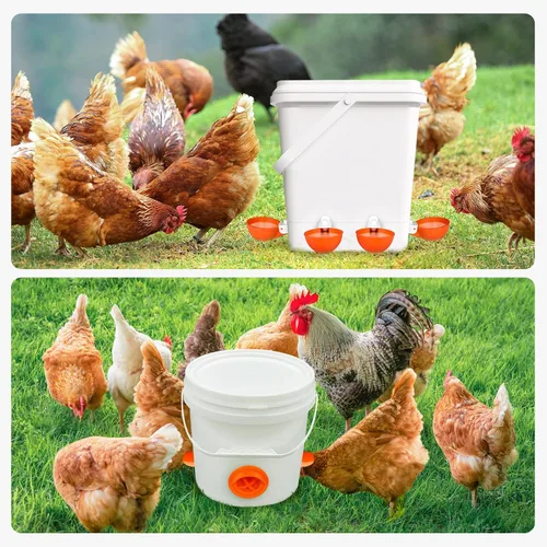 Vista 5 de Alimentador automático de pollos sin desperdicios, alimentador automático de aves de corral, juego de comedero y bebedero de pollos para bricolaje