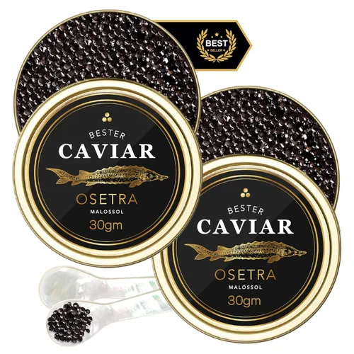 Vista 7 de BESTER CAVIAR Caviar de esturión Osetra prémium – Huevas negras de Malossol Ossetra cosechadas tradicionalmente con cuchara de nácar – Lata