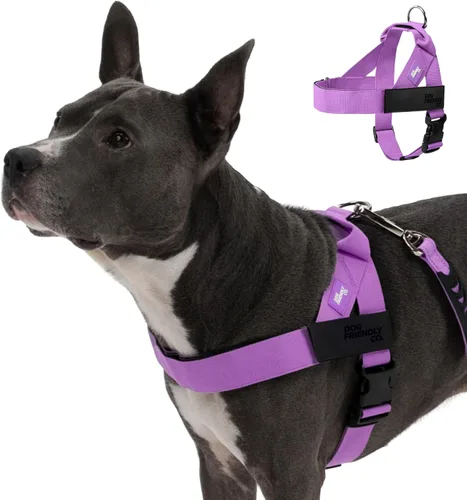 Vista 10 de Arnés para perro Dog Friendly Co Correas resistentes a rozaduras, cuello y pecho ajustables, y anillo en D resistente Resistente, cómodo, fácil