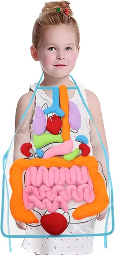 KAKIBLIN 3D Organ Apron,(Upgrade Version) Anatomy Apron Human Body Organs Awareness Educational Toy for Home Preschool Teaching Aid, Transparent