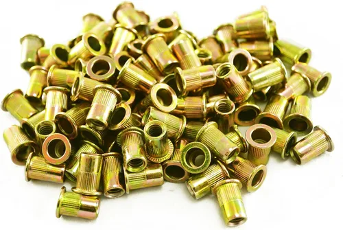 Astro Pneumatic Tool RN6M 100 piezas M6 0.236 in Tuercas remachadoras de acero