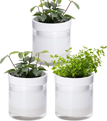 Vista 8 de Phoenix Vine Macetero de terracota de riego automático de 4 pulgadas, maceta de arcilla de terracota negra con depósito de vidrio para plantas