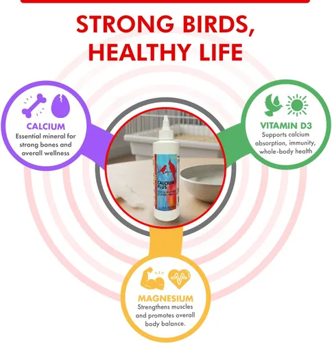 Vista 3 de Morning Bird Suplemento Calcio Plus para la salud aviar, fórmula líquida de calcio con magnesio y vitamina D3, 16 onzas líquidas