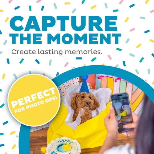 Vista 5 de Outward Hound Hide A Birthday Cake, rompecabezas de peluche con temática de cumpleaños para perros