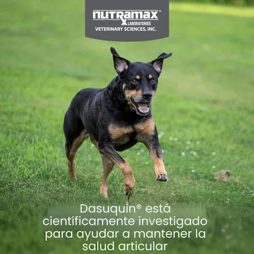 Vista 2 de Dasuquin para perros pequeños y medianos, 84