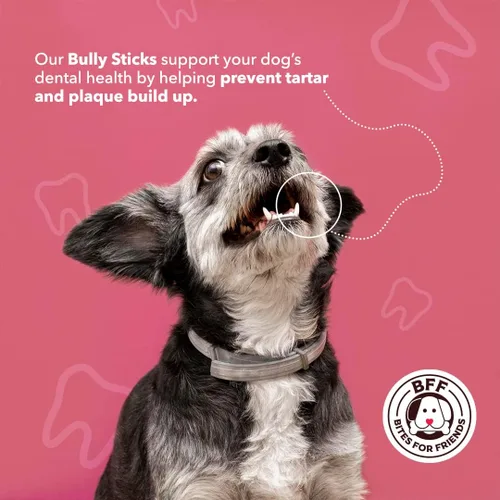 Vista 3 de BFF Bully Sticks de 6 pulgadas (10 unidades) – Golosinas para perros de larga duración – Masticables naturales sin gluten sin granos – Palitos