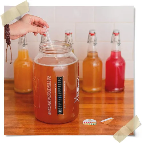 Vista 7 de Kombucha Essentials Kit – Incluye Kombucha Orgánica USDA SCOBY + tarro de fermentación de vidrio de 1 galón con cubierta transpirable + tiras de pH
