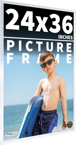 Vista 281 de Marco de madera de peltre plateado de 19 x 25 pulgadas con plexiglás acrílico UV, respaldo de tablero de espuma y accesorios incluidos