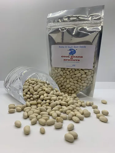 Roma II, Bush Bean-100 Count Seeds "COOL BEANS N SPROUTS" Brand. Jardinería doméstica.