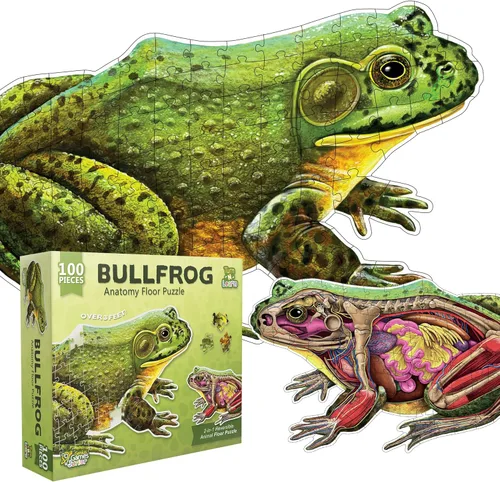 Bullfrog - Rompecabezas de piso de anatomía animal | Rompecabezas de 100 piezas de doble cara | Ilustración científicamente precisa de rana de gran