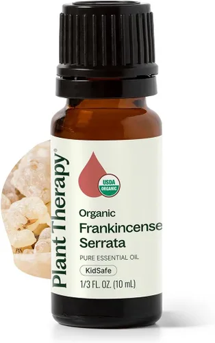 Plant Therapy Aceite esencial de incienso serrata orgánico 100% puro, Certificación orgánica USDA, sin diluir, aromaterapia natural, grado