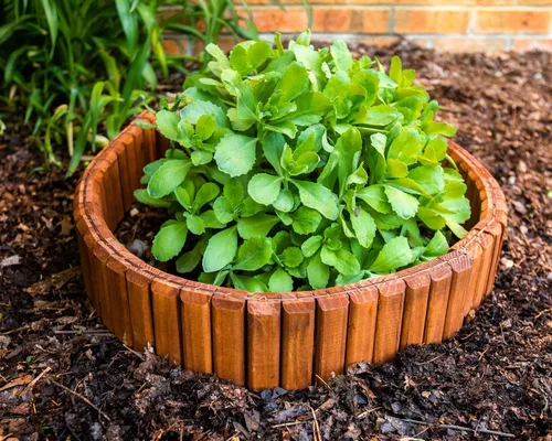 Vista 4 de Borde de césped y paisaje natural flexible marrón (3.05 metros)