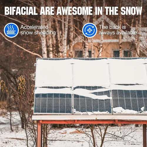 Vista 4 de ECO-WORTHY Panel solar bifacial de 200 vatios, 2 unidades de panel solar monocristalino de 100 vatios, módulo fuera de la red, energía FV