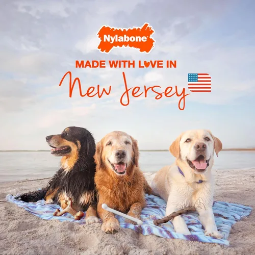 Vista 10 de Nylabone Healthy Edibles Natural Dog Chews - Golosinas masticables de larga duración con sabor a tocino para perros, pequeños/regulares (1 unidad)