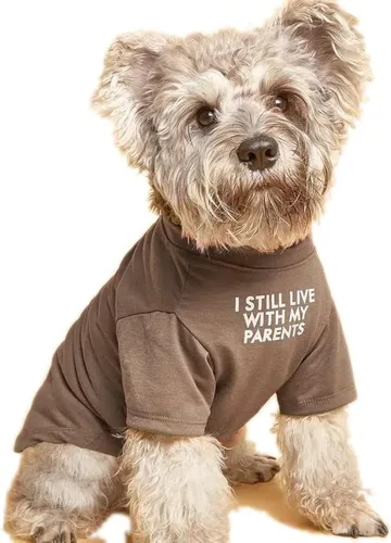 Vista 5 de Ropa linda para perros, camiseta para perros medianos. Ropa para perros pequeños, hembra macho, cachorro. Disfraz suave y transpirable para perros