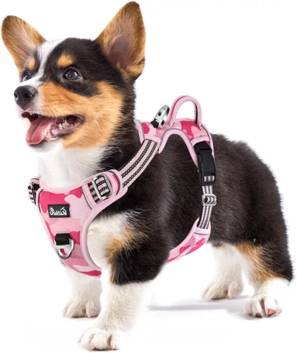 Vista 28 de SlowTon Arnés para perro sin tirones, arnés resistente sin estrangulamiento para mascotas, con 2 clips para la correa y mango vertical de fácil