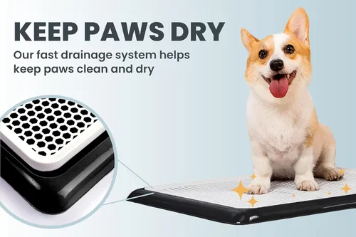Vista 6 de Pet Awesome - Bandeja para orinales, 25 x 20 pulgadas, entrenamiento interior para hacer pipí para perros pequeños y medianos