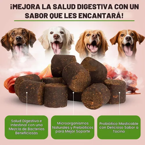 Vista 4 de Only Natural Pet - Suplemento probiótico para perros y gatos, masticables Fórmula enzimática para la salud digestiva y intestinal, masticables