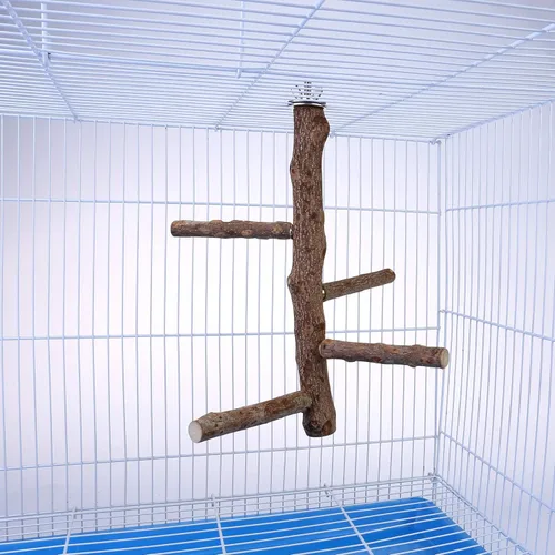 Vista 3 de Mogoko Soporte de madera natural para pájaros, perca colgante de múltiples ramas para loros, periquitos, cacatúas, conures, guacamayos, pájaros