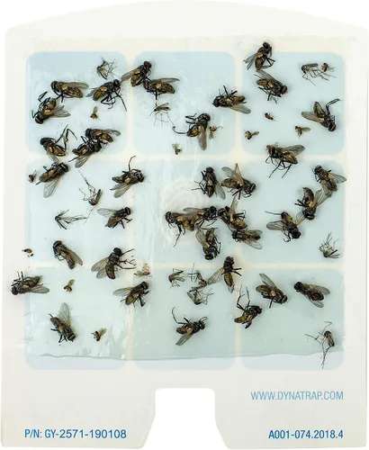 Vista 5 de DynaTrap Tarjetas de pegamento de repuesto DOT StickyTech 23005-06 - Nube