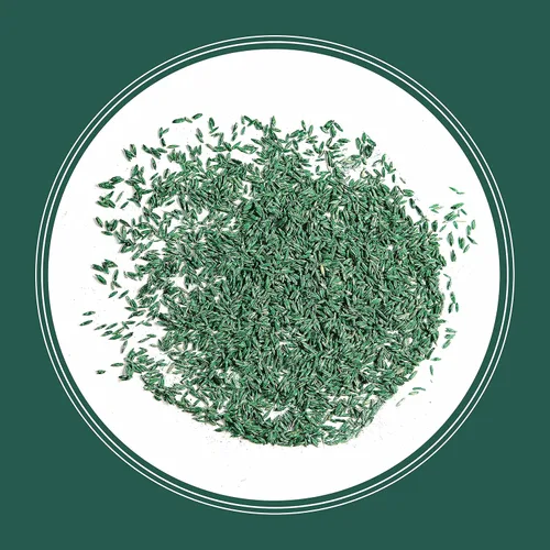 Vista 12 de Pennington Smart Seed Sol y Sombra Mezcla de Semillas de Césped Festuca Alta para Céspedes del Sur 3 lb