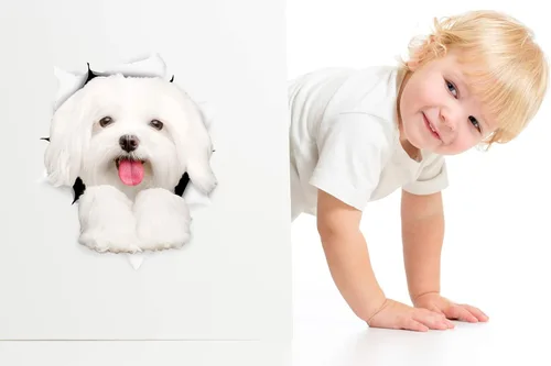 Vista 2 de Winston & Bear Calcomanías 3D para perros, paquete de 2, lindas calcomanías de perro maltés para pared, nevera, inodoro y más, calcomanías maltesas