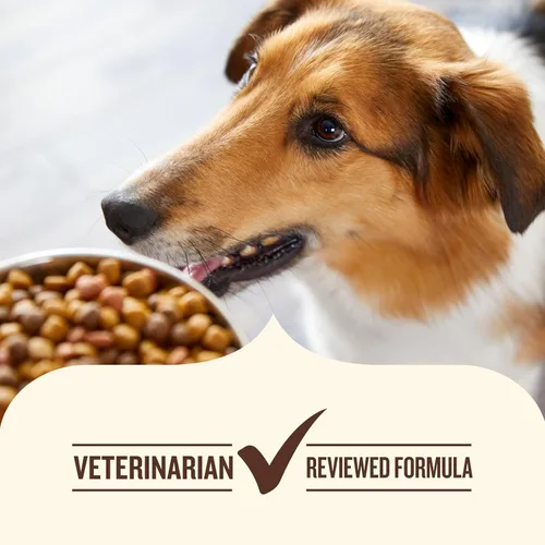 Vista 7 de Nutrish Puppy - Receta de pollo real y arroz integral, mezcla de alimentos secos para perros, bolsa de 6 libras, el embalaje puede variar