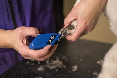 Vista 8 de Wahl Professional Animal Pocket Pro Equine Compact Horse Trimmer and Grooming Kit - Azul