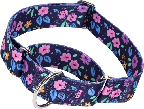 Vista 15 de Collar Martingale para Perro de 1.5 Pulgadas de Ancho - Diseño de Calavera Extra Resistente para Perros Grandes, Collar de Entrenamiento Ajustable