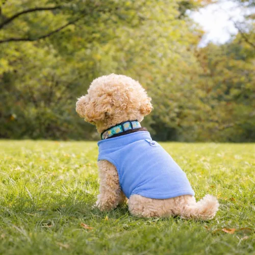Vista 6 de JACKO & CO - Chaleco de forro polar para perro con anillo para correa - Abrigo suave, cálido y ligero para perros, cachorros y gatos pequeños y Azul