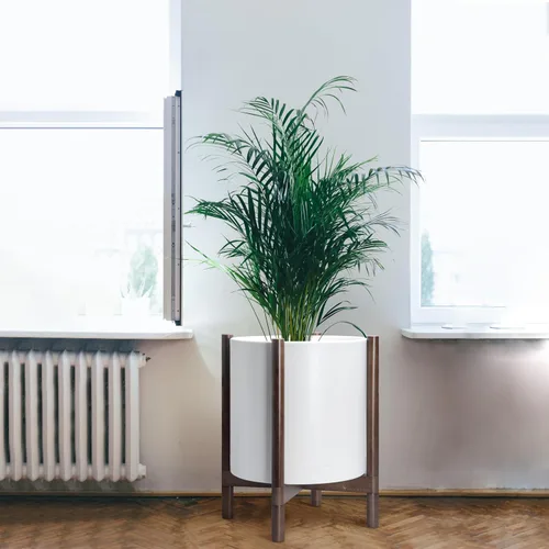 Vista 2 de Maceta D'vine Dev con soporte - Maceta de cilindro de plástico de 16 pulgadas con soporte de madera para interior, maceta mate de color blanco +