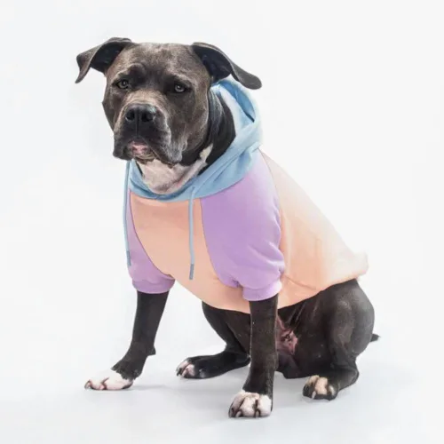 Vista 80 de Spark Paws - Suéter de punto para perro, ultra suave y cálido, suéter de invierno para perros pequeños, medianos y grandes, ajuste elástico