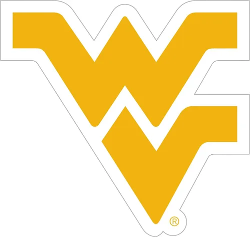 Vista 14 de NCAA, imán con logotipo, 8 pulgadas