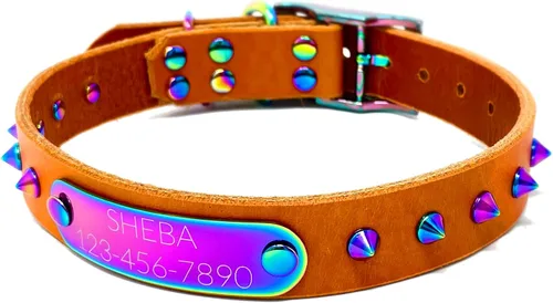 Vista 11 de Collar de perro de cuero con brida hecha a mano, grabado arco iris de acero inoxidable (negro)