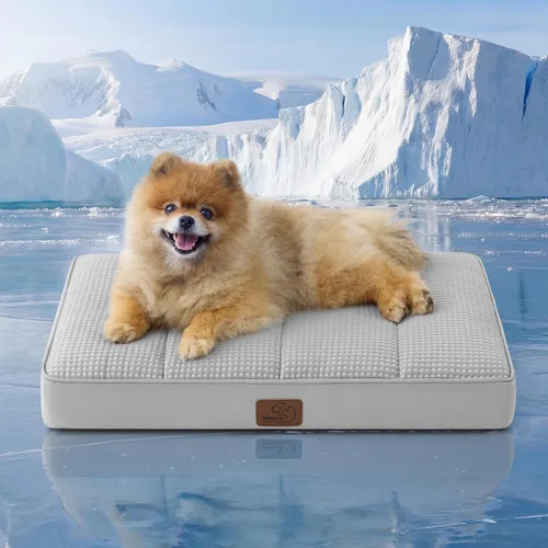 Vista 44 de Bedsure - Camas XL para perros de tamaño grande - Cómodas camas planas extra grandes para mascotas con funda extraíble y lavable, colchón ortopédico