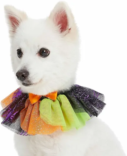 Vista 19 de Blueberry Pet Collar de perro ajustable de maíz dulce de Halloween con accesorio desmontable con purpurina, pequeño, cuello de 12 a 16 pulgadas