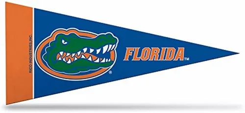 Vista 9 de Rico Industries NCAA - Juego de mini banderines de fieltro de 4 x 9 pulgadas (incluye 8 piezas)