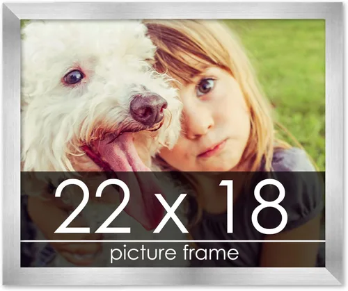 Vista 74 de Marco de madera de peltre plateado de 19 x 25 pulgadas con plexiglás acrílico UV, respaldo de tablero de espuma y accesorios incluidos