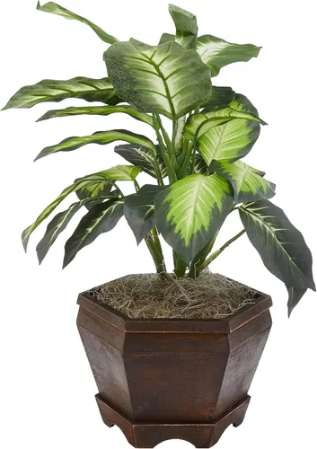 Vista 2 de Nearly Natural Dieffenbachia dorada con jarrón de madera Planta de seda