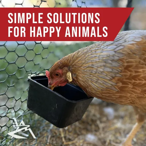 Vista 6 de The ROP Shop Paquete de 6 tazas de jaula negras para pollos, perros, faisanes, conejos y agua