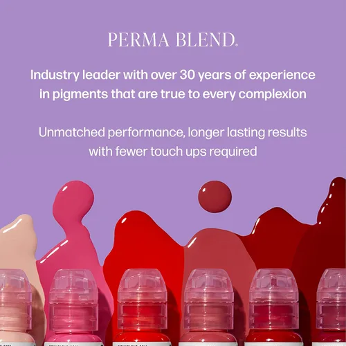 Vista 4 de Perma Blend Kit de tatuaje de cejas de luz a oscura, maquillaje permanente y tinta microblading para uso profesional, contiene tinta de tatuaje
