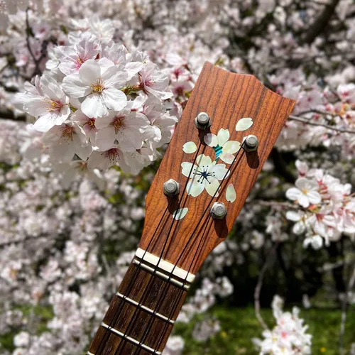 Vista 6 de Pegatina de incrustación para guitarra y ukelele Headstock - Cherry Blossom/Sakura, H-124SA