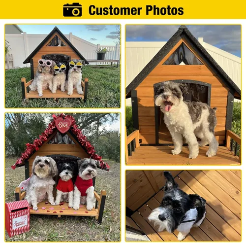 Vista 3 de Casa para perros al aire libre, refugio impermeable para cachorros, casa para perros de interior con piso elevado, diseño antimordeduras, hogar