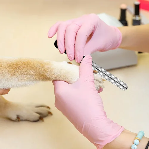 Vista 7 de Candure Cortaúñas para perros y recortadora con protector de seguridad para evitar cortar demasiado las uñas de los dedos de los pies, cortaúñas