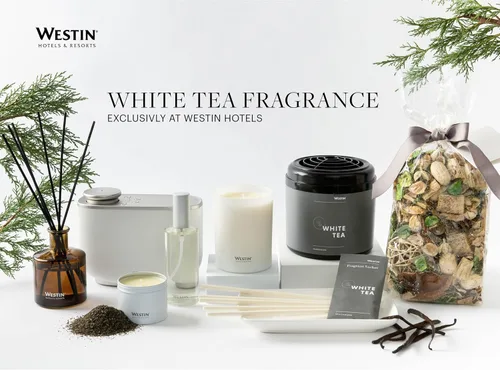 Vista 5 de Westin Vela de té blanco en lata, vertida a mano, vela de soja en lata, aroma característico de té blanco, 4 onzas, juego de 10