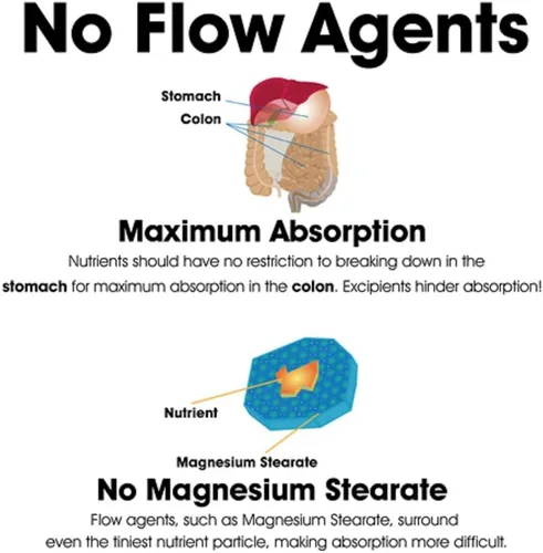 Vista 4 de Dr Clark Store CRaNiULS (Multi Vitaminas y Minerales), 520 mg 150 Cápsulas de Gelatina