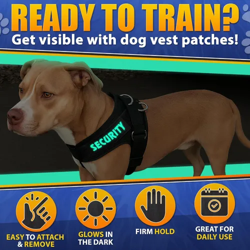 Vista 4 de 6 parches para perros de servicio de gran tamaño, 6.2 x 1.9 pulgadas, fluorescentes, parches de no mascotas, juego de parches para perros
