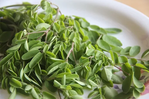 Vista 7 de Yerbero - Té de hoja de moringa pura entera, 4 onzas (3.99 oz) Hojas secas cortadas de moringa oleifera de alta calidad Te De Hojas De Moringa