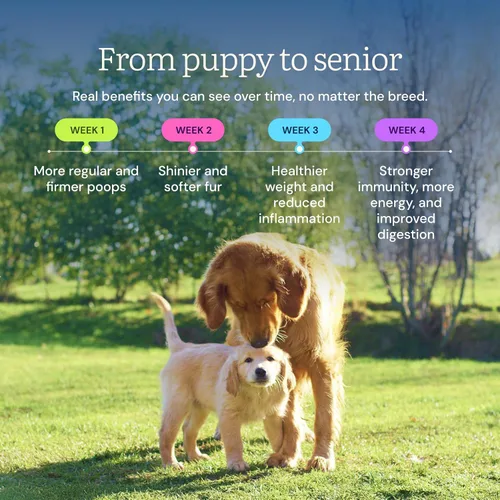 Vista 5 de Get Joy Bocadillos liofilizados de carne de res cruda, alta en proteínas sin cereales, mezclador y complemento de comida seca para perros