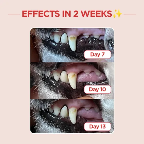 Vista 3 de JAYU PET Cepillo de Cuidado Dental (Cerdas de Borde) 1 unidad - Cepillo de Dientes para Perro con Cabeza Micro Redonda, Cepillo de Dientes